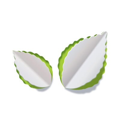 Leaf Paper cutout in the shape of two leaves, the fold creates the spine of the leaf, background of the cutout is green